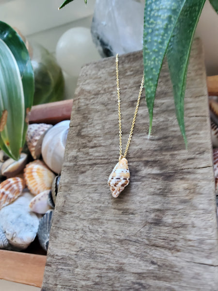 Siren Shell Necklace - #3