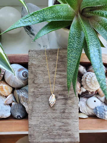 Siren Shell Necklace - #3
