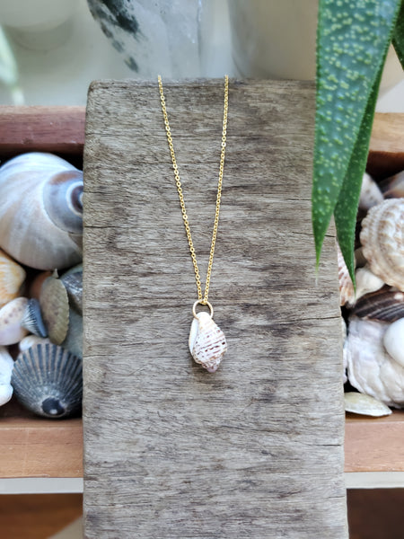Siren Shell Necklace - #2