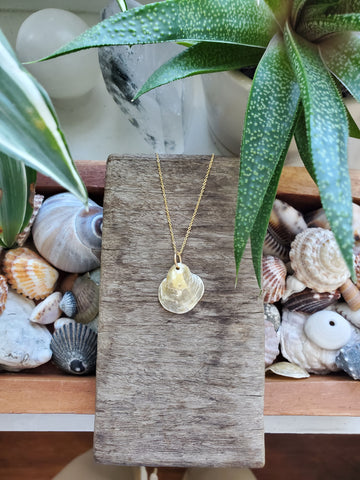 Siren Shell Necklace - #1