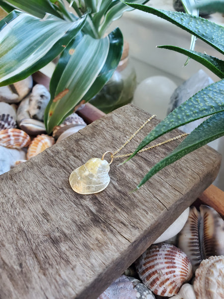 Siren Shell Necklace - #1