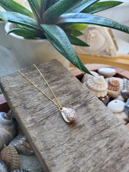 Siren Shell Necklace - #2