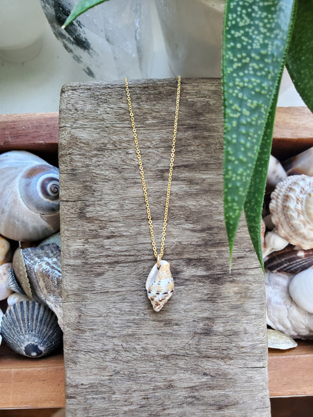 Siren Shell Necklace - #3