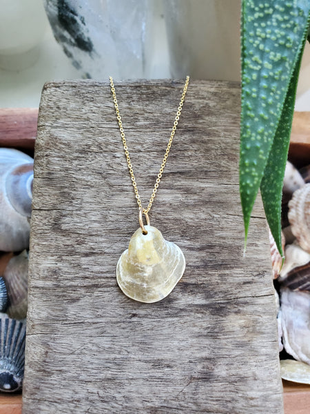 Siren Shell Necklace - #1