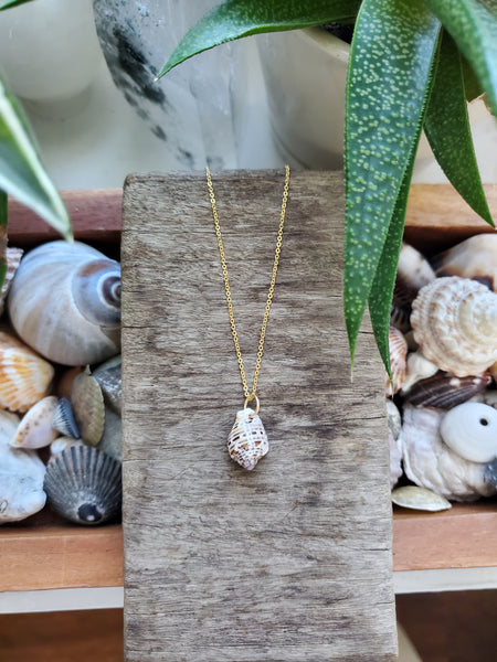 Siren Shell Necklace - #2