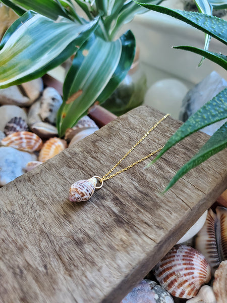 Siren Shell Necklace - #2