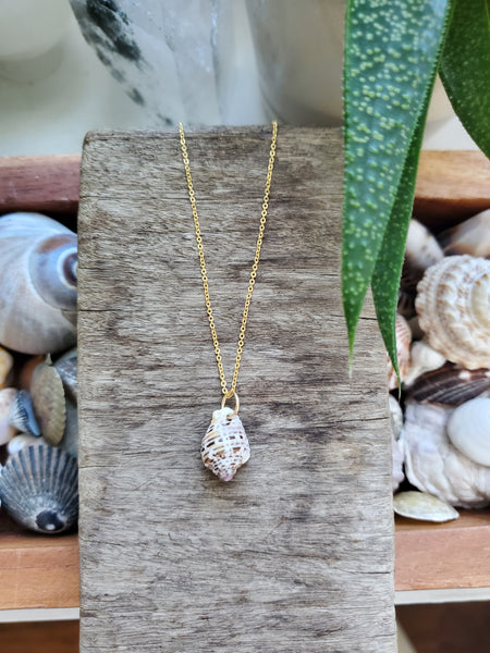 Siren Shell Necklace - #2