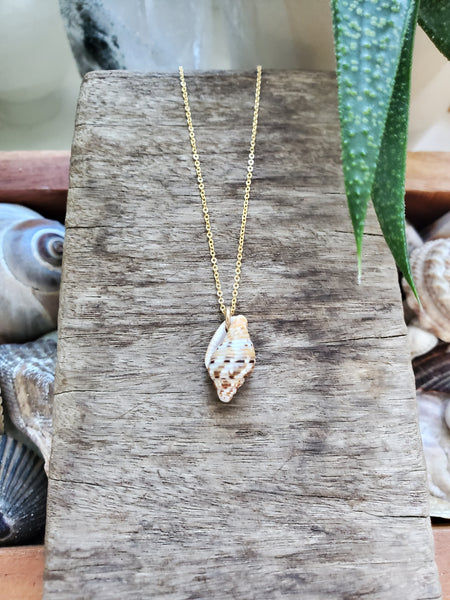 Siren Shell Necklace - #3