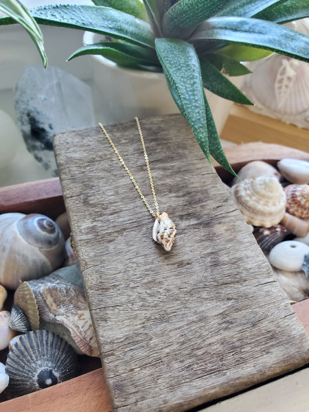 Siren Shell Necklace - #3